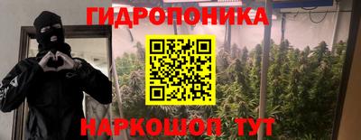 apvp Нальчик